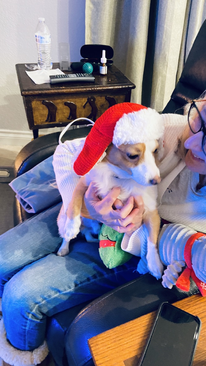 Shohei first Christmas at home
