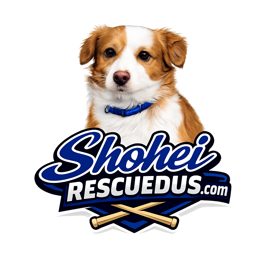 Shohei Logo